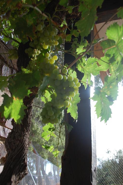 Apartamentos Rurales Las Caleras Almagro Bagian luar foto